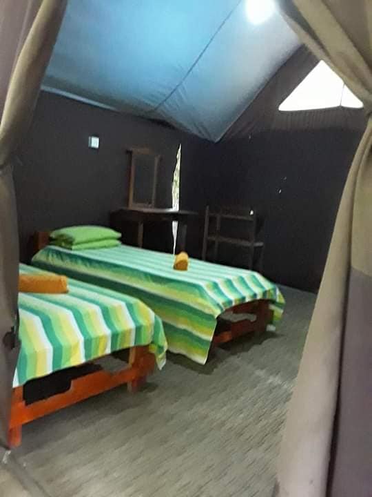 128550235_3630560627033112_8627300864694295778_n