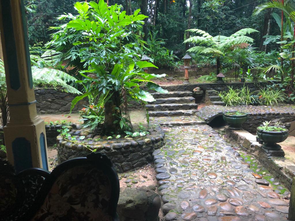 274efdbb-d3bd-4de5-9f93-51e5679dde51