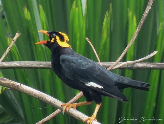 2a14958e-5811-4eea-a4f5-1eb8aad9c8a1