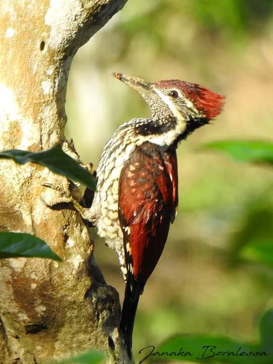 2ca6ddc4-2d6e-40db-9873-93048cdc4c80