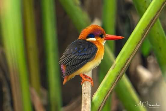 3fa2d8ce-75e3-415f-a893-ce602021132f