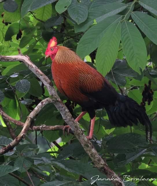 4480d5d2-eb20-487a-874a-9eb4af357749