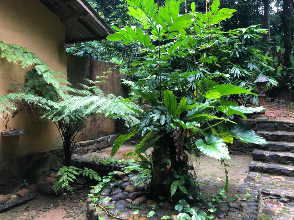 6d42f506-21b3-46d0-8416-9532823103b7