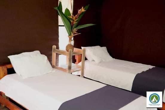 7359196f-c119-4124-8259-95b185f066c2