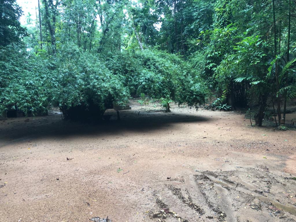 7a8abe79-04fc-4858-8472-bc7aa5e692ba