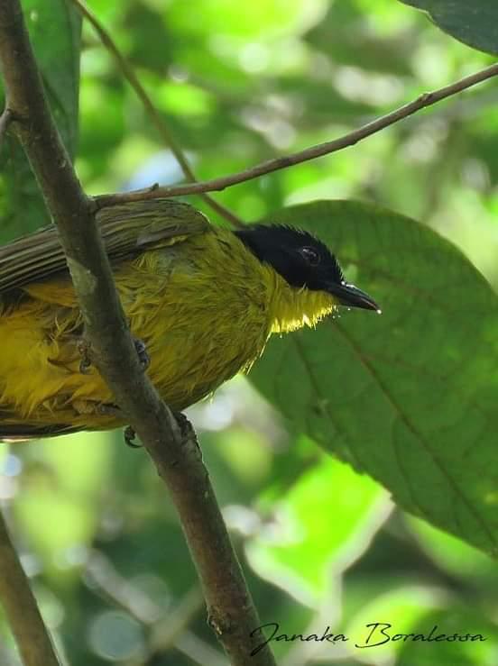 7bd60b49-bc13-4e9e-ac6f-2ee37cfa4c01