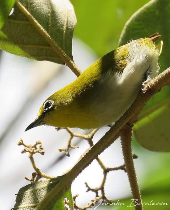 87707242-6e34-4161-8b95-6c1c96f80347