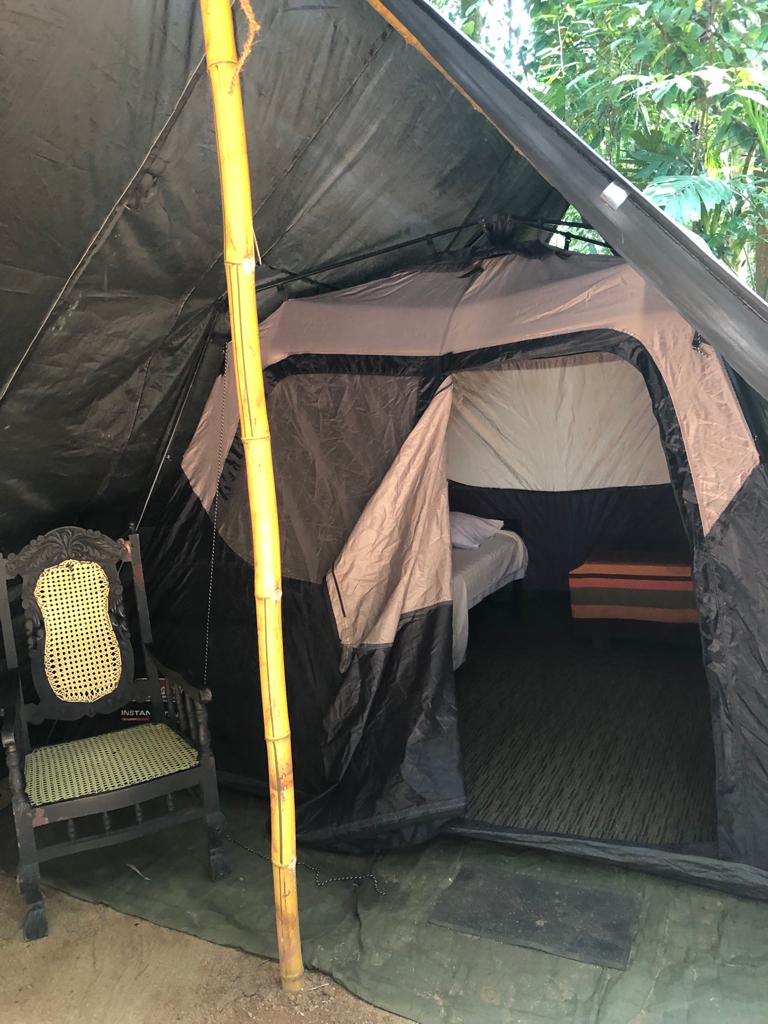 920791f1-7854-47e1-8003-7ef4ef6b89ae