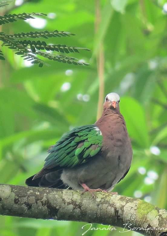 b7bb9693-baf0-4ec6-bd89-1dde461ac68b