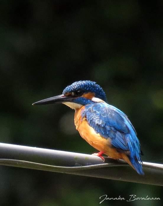 cb70d893-7951-47c6-aa98-09ac204a00e3