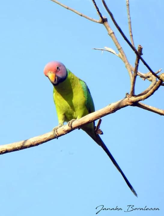 d5ae8405-226e-4f6d-ad3f-51a1627f39ba