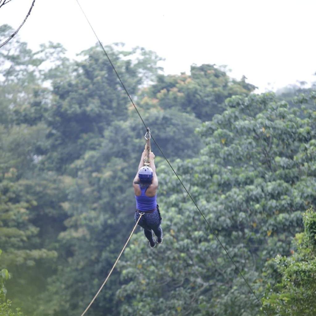 f1306077-b86d-4dc9-8c36-f843263f6269