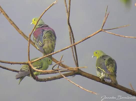 fb790636-79bc-4487-9815-4e7fa66e6058